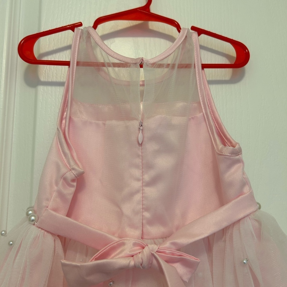 American Princess Pink Formal Dress - Picture 6 of 7